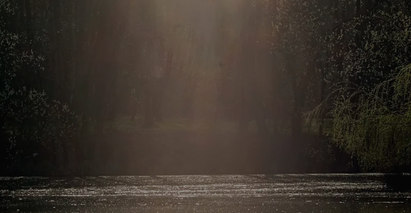 Por que eu deveria me conhecer?