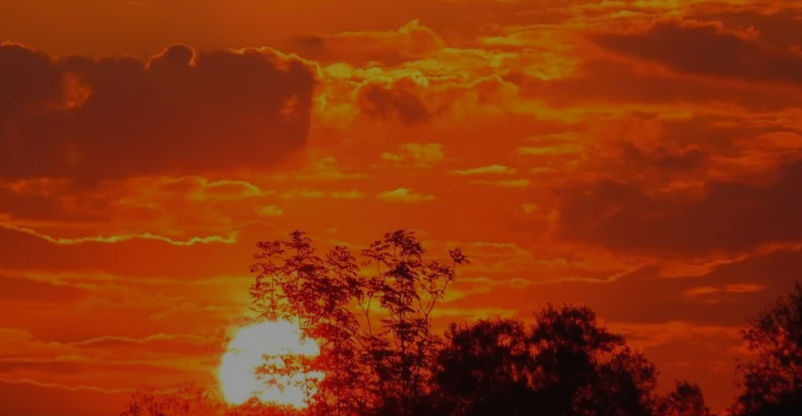 A força do Autoconhecimento na hora da crise