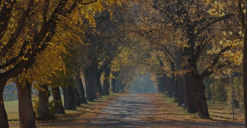 O Autoconhecimento para um futuro melhor