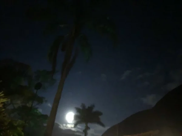 PH – Novembro RJ – Grupo 660/2019