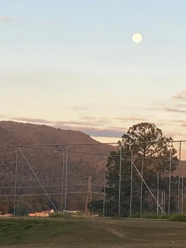 PH – Junho 01 – Grupo 686/2021