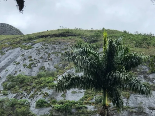 PH – Novembro RJ – Grupo 660/2019