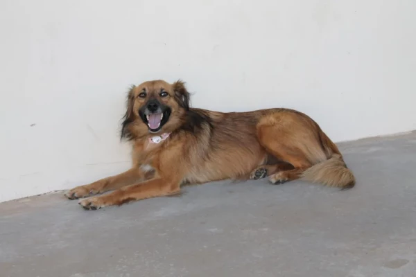 PH – Fevereiro 01 – Grupo 665/2020