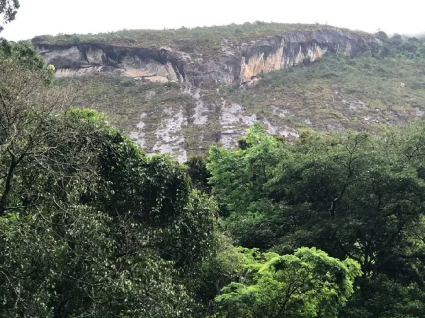 PH – Novembro RJ – Grupo 660/2019