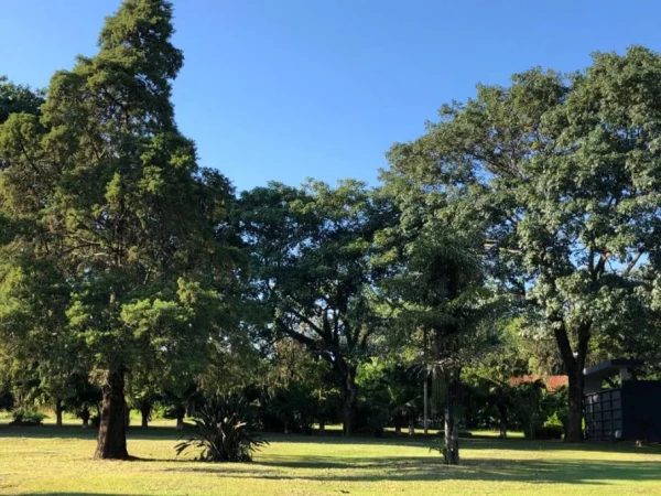 PH – Janeiro 1 – Grupo 663/2020