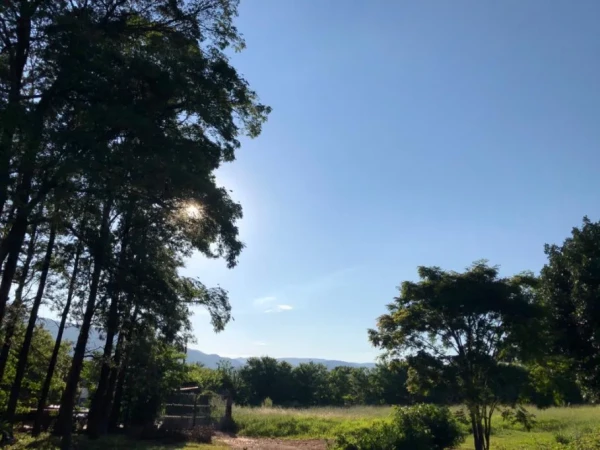 PH – Janeiro 1 – Grupo 663/2020