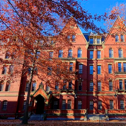 Centro Hoffman lança treinamento reconhecido por Harvard