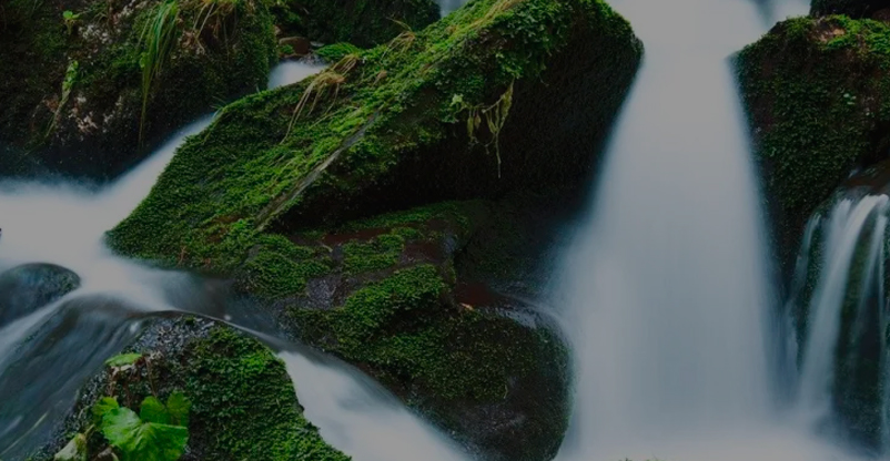 O fluxo da vida segue no caminho certo